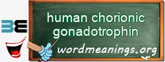 WordMeaning blackboard for human chorionic gonadotrophin